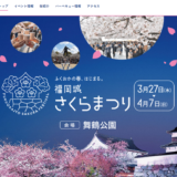 【2024】福岡城さくらまつりは3月27日から4月7日までライトアップなどイベント多数